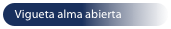 Vigueta alma abierta